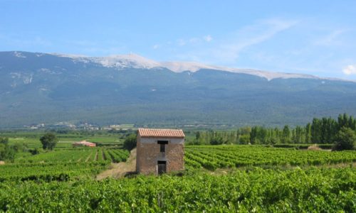 ventoux13